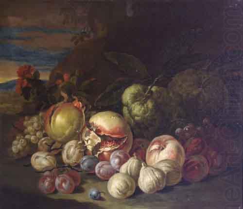 Jakob Bogdani Grapes and Peaches china oil painting image